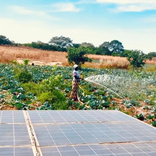 solar irrigation